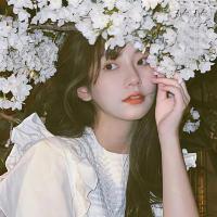 火箭NPV加速器iOS版用户LISA,很满意火箭NPV加速器iOS版